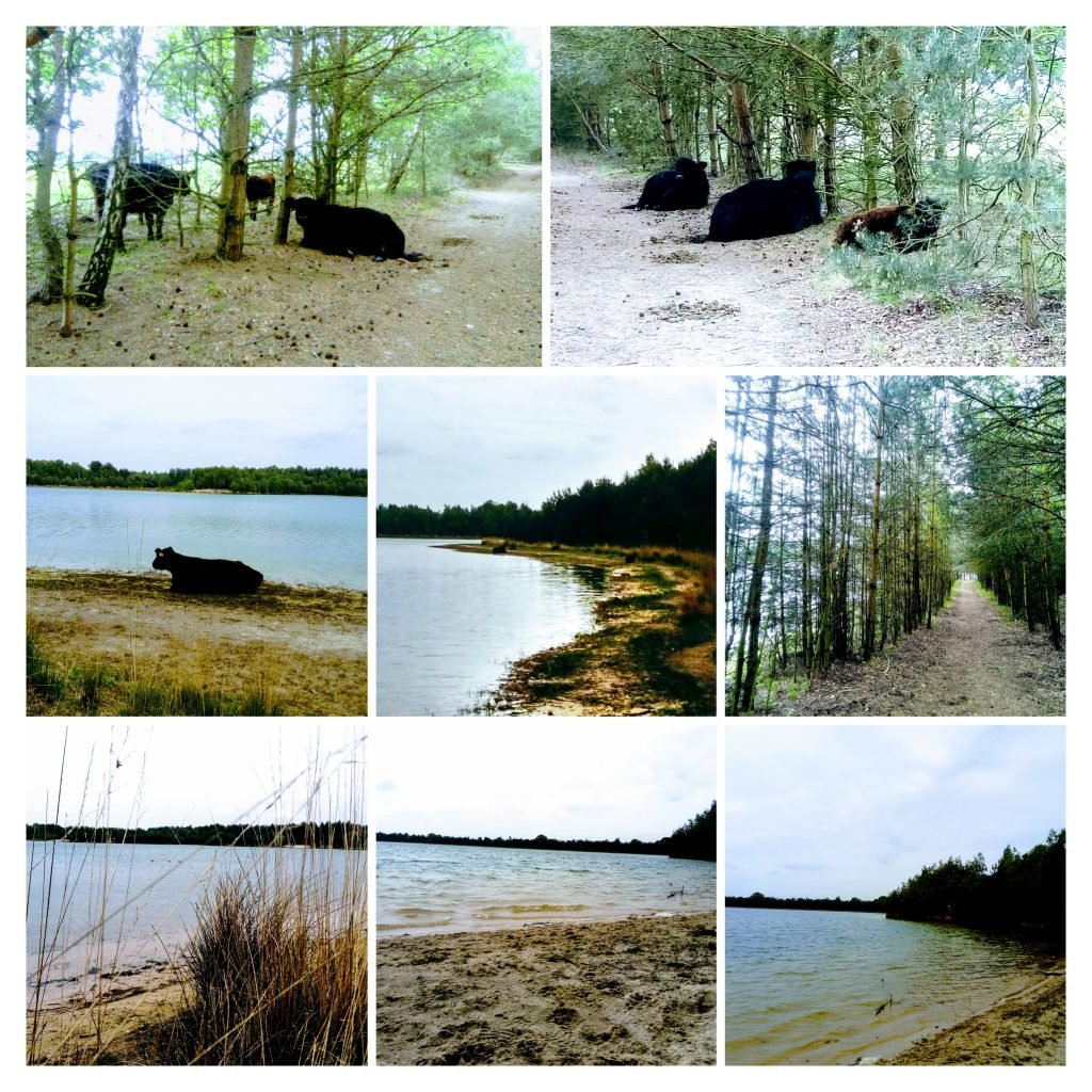 wandelen langs de Loserplas