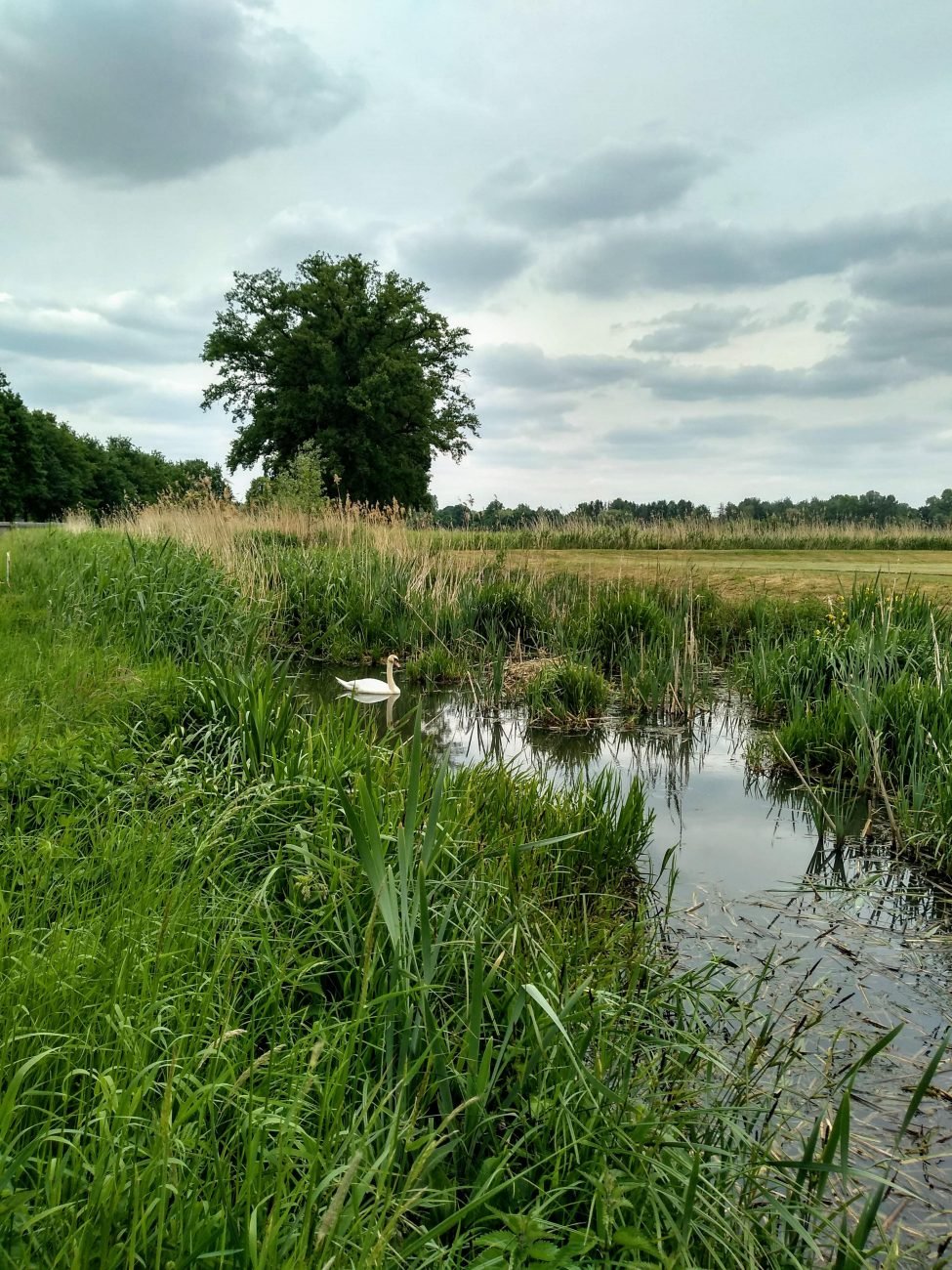 Wandelen rond abdijsite Herkenrode