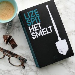 Boekentip: Het smelt van Lize Spit